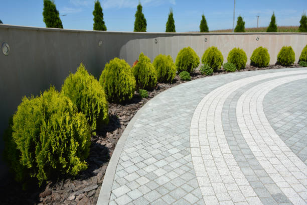 Best Best Driveway Pavers  in Frazer, PA